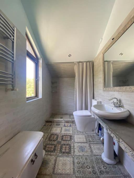❆Cozy, 4 Br. Villa In Ananuri❆ المظهر الخارجي الصورة